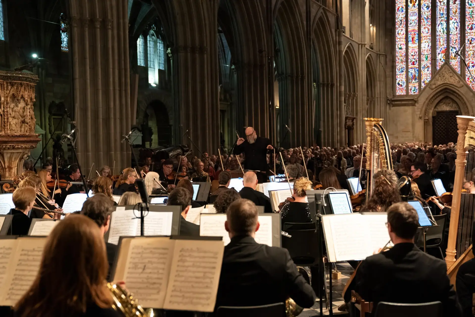 ESO action shot of musicians during a concert