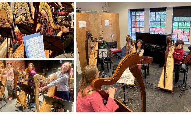 ESO Youth – August 2023 Harp Course
